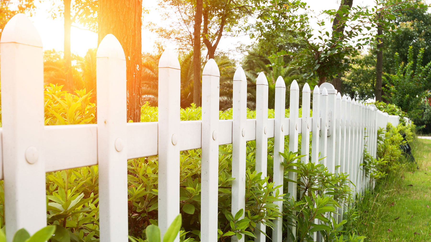 Preston Springs HOA (Plano) cover